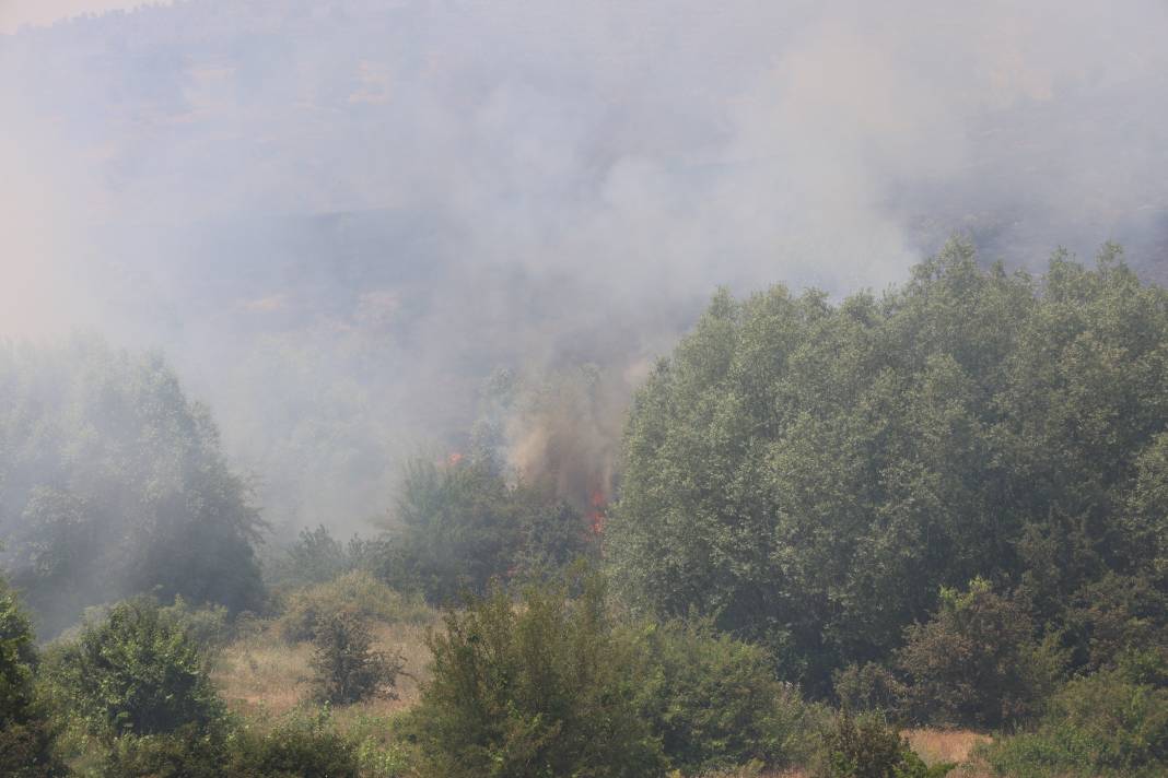 Elazığ'da orman yangını 44